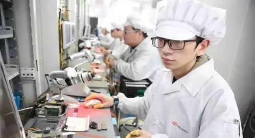 沖刺最大LTPS單體工廠，搶占5G網絡新高地——3551企業打響開年第一炮